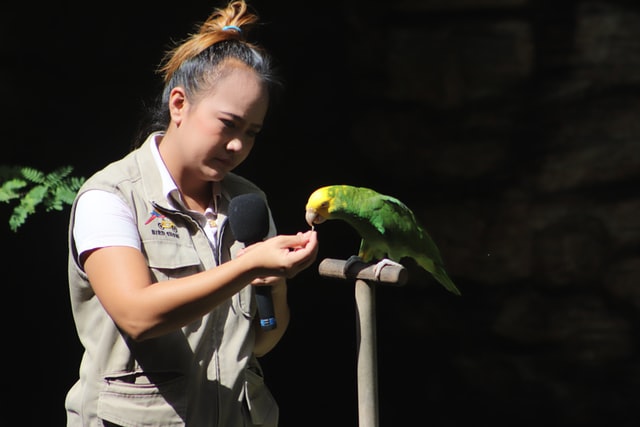Events Wasatch Avian Education Society
