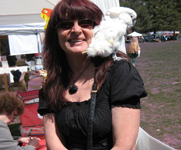 Get Involved Wasatch Avian Education Society